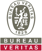 bv logo